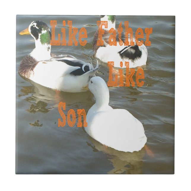 Como Pai Como Filho. (Frente)