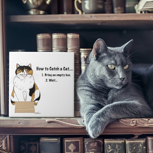 Como pegar um gato (Criador carregado)