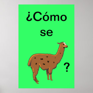 Cómo se llama? Pôster