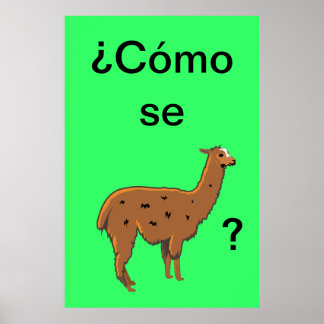 Cómo se llama? Pôster