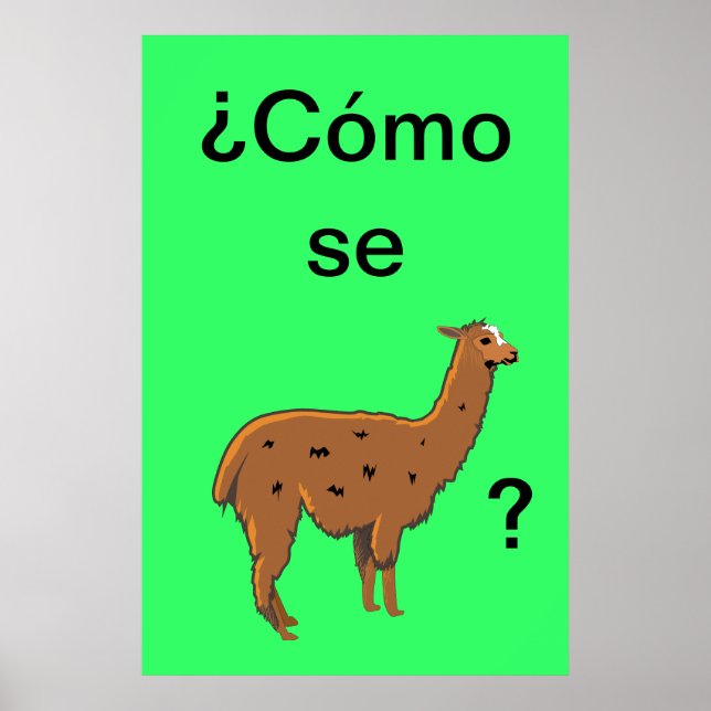 Cómo se llama? Pôster (Frente)