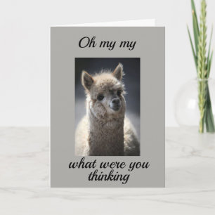 COMO VOCÊ FEZ ISSO *RODANDO 21?* CARTÃO