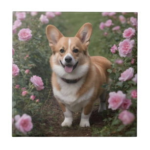 "Companheiro charmoso: um Corgi em um jardim rosa 