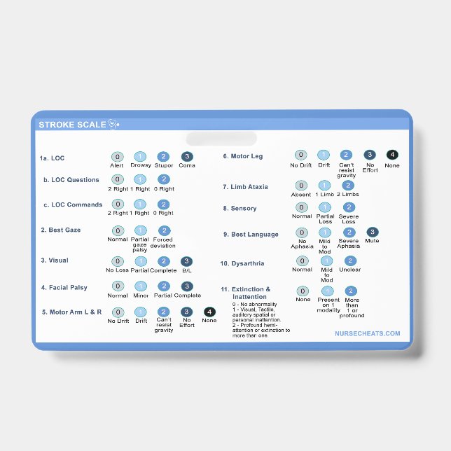 Companheiro de Crachá de Escala de Traço (Front)