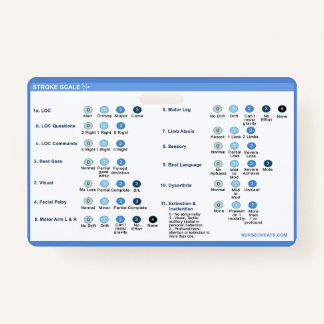 Companheiro de Crachá de Escala de Traço