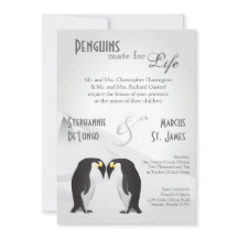 companheiro dos pinguins 5x7 para o convite