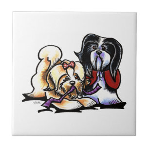 Companheiros de brincadeira de Havanese