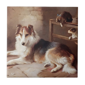 Companheiros de brincadeira - gatinho do cão -