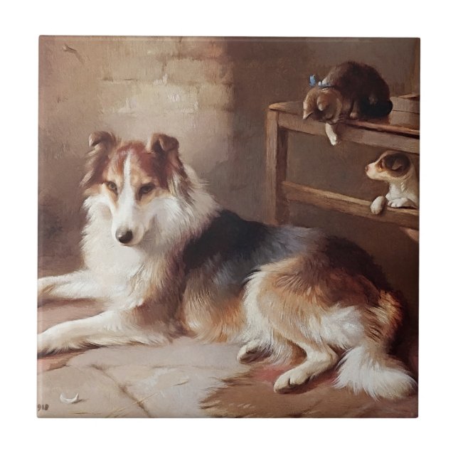 Companheiros de brincadeira - gatinho do cão - (Frente)