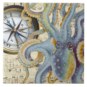 Compass Musical de Octopus Azul de Aço