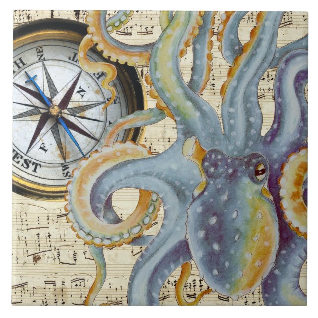 Compass Musical de Octopus Azul de Aço (Frente)