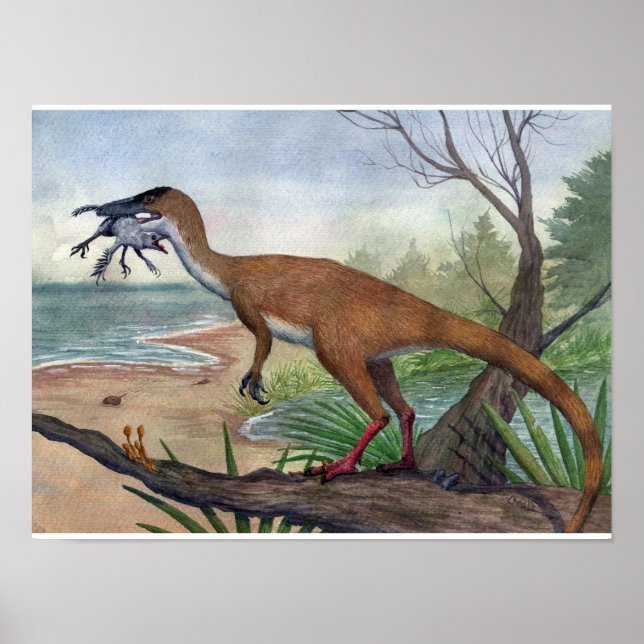 Compsognathus Impressão (Frente)