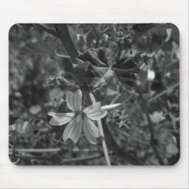 COMPUTADOR DESKMAT MOUSE PAD ART&DESIGN