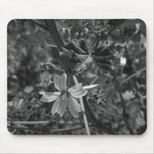 COMPUTADOR DESKMAT MOUSE PAD ART&DESIGN