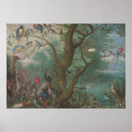 Concertos de Aves - Jan van Kessel Fine Art Poster