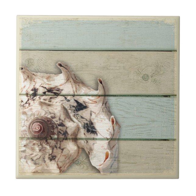 Conch da coroa (Frente)