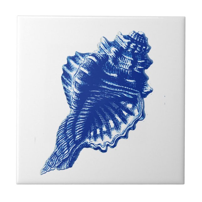 Conch Shell, azul de índigo e branco (Frente)