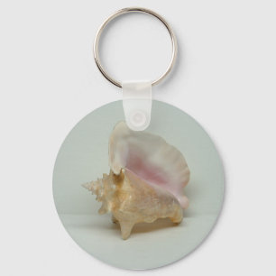 CONCH SHELL CHAVEIRO