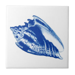 Conch Shell do turbante, azul de índigo e branco