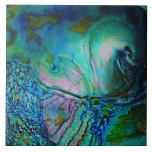 Concha de Abalone Azul