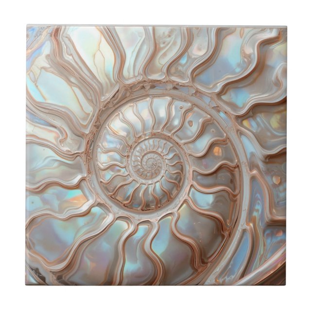 Concha de Abalone e Pérola Nautilus (Frente)