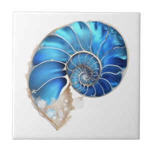 Concha de náutilo oceano azul brilho 3D praia