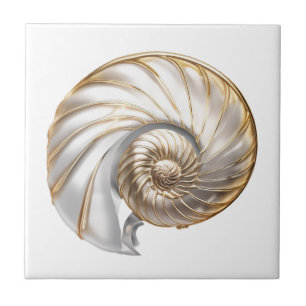 Concha de náutilo pérola brilho 3D praia mar