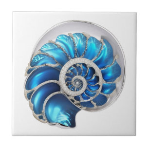 Concha de nautilus oceano azul 3D praia náutico