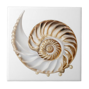 Concha de Nautilus pérola 3D lustre dourado oceano