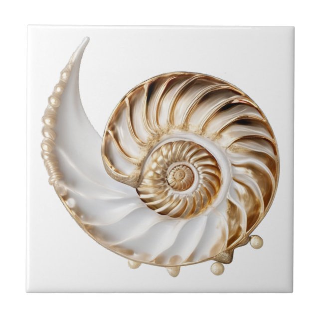 Concha de Nautilus pérola 3D lustre dourado oceano (Frente)