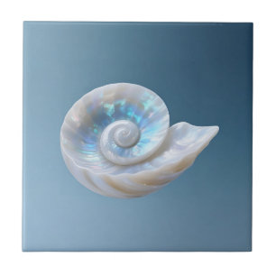 Concha Espiral de Náutilo Iridescente