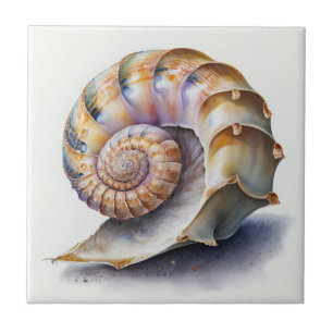 Concha Espiral em Aquarela Pastel