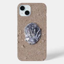 Concha marítima no litoral marinho