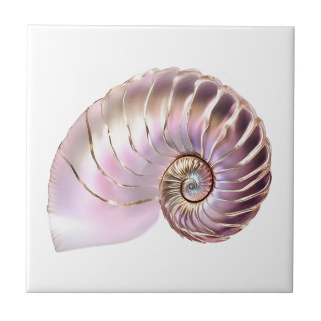 Concha rosa dourado nautilus 3D praia náutica (Frente)