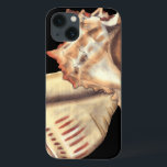 Conchas Artísticas<br><div class="desc">Jennifer Goldberger tem uma coleção incrível de arte capturando as pérolas do oceano. Nesta linda,  clássica pintura de cor neutra,  estes dois conchas são o principal objeto da imagem. Coloque esta arte náutica estilizada em seus produtos favoritos hoje!</div>