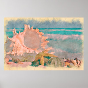 Conchas de aquarela na praia grande pôster