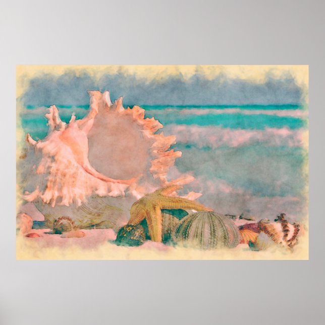 Conchas de aquarela na praia grande pôster (Frente)