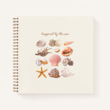 Conchas Estéticas da Costa