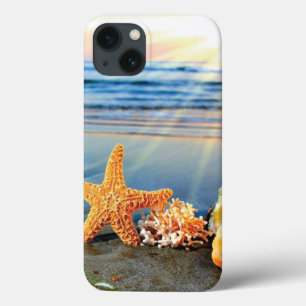 Conchas marítimas e estrelas-do-mar na praia