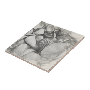 Conchas Marítimas Náuticas Ocean Beach Vintage A