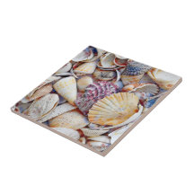 Conchas Marítimas Náuticas Ocean Beach Watercolor