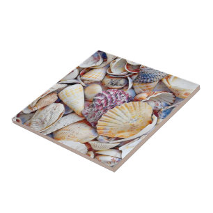 Conchas Marítimas Náuticas Ocean Beach Watercolor