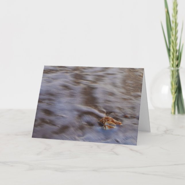 Conchas marítimas no cartão de saudação do Surf (Frente)