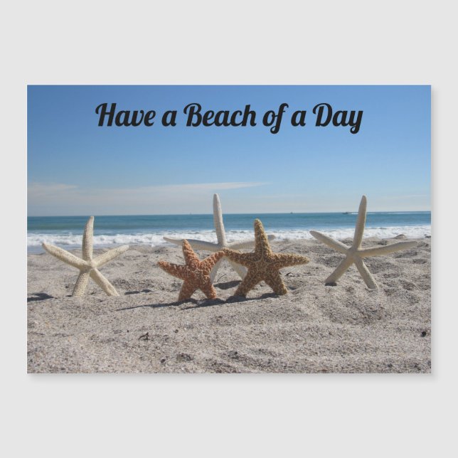 Conchas na praia - Cartão magnético (Frente)