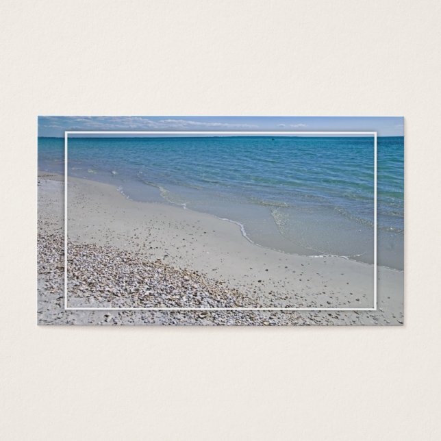 Conchas oceânicas e marítimas (Frente)