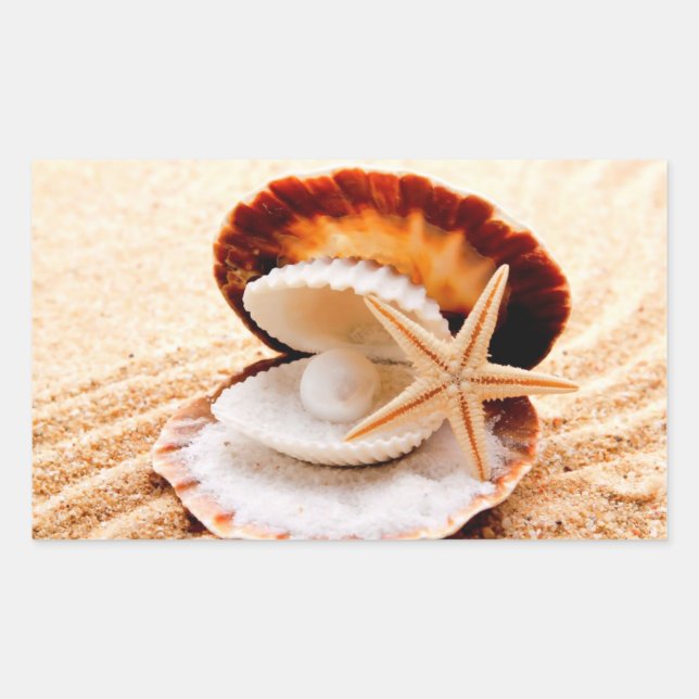 Conchas românticas nos adesivos de praia (Frente)