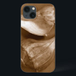 Conchas Sensuais<br><div class="desc">Renee W. Stramel captura essas conchas em um belo tom de sepia. Esta obra de arte safra é uma adição perfeita a qualquer amante de anêmonas marinhos. Pegue seu impressão de arte hoje em dia em seu produto.</div>