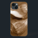 Conchas Sensuais<br><div class="desc">Renee W. Stramel captura essas conchas em um belo tom de sepia. Esta obra de arte safra é uma adição perfeita a qualquer amante de anêmonas marinhos. Pegue seu impressão de arte hoje em dia em seu produto.</div>