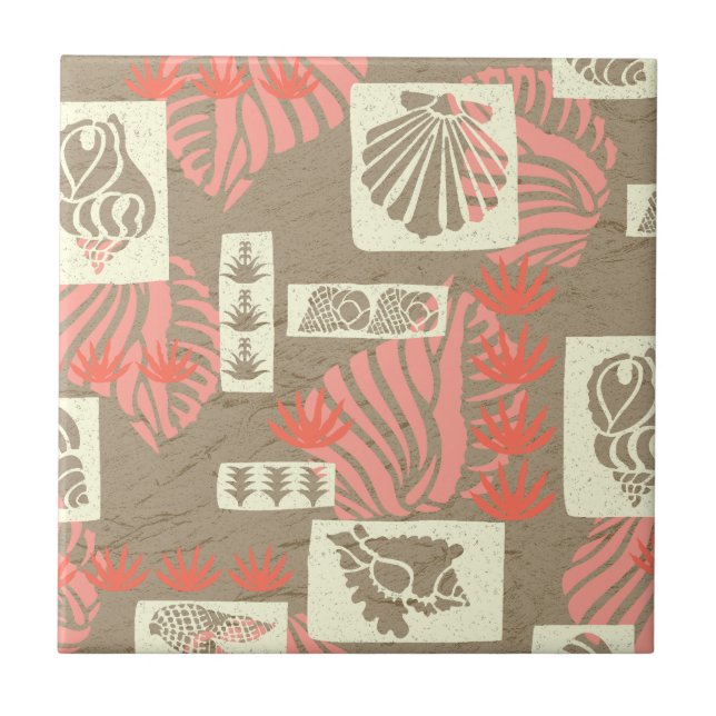 Conchas Submarinas de Kua Bay no Havaí (Frente)