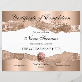 Conclusão do curso de Prêmio do certificado de con